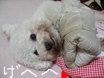 画像 986.jpg