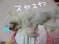 画像 989.jpg