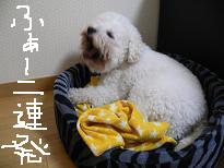 画像 995.jpg
