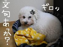 画像 997.jpg