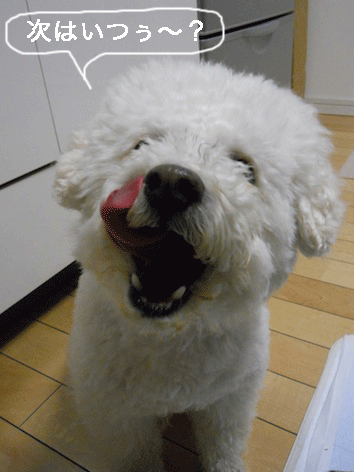 DSCN0933.gif