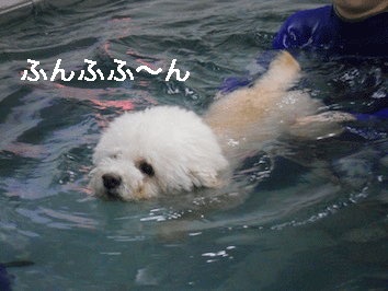 DSCN3949.gif