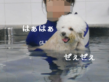 DSCN3950.gif