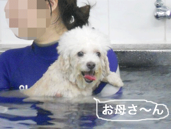 DSCN3955.gif