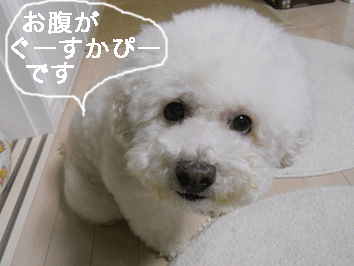 DSCN3960.gif