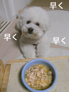 DSCN3961.gif