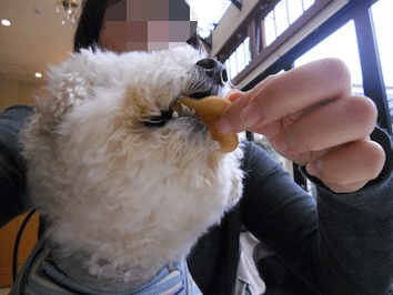 DSCN3977.gif