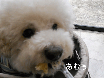 DSCN3982.gif