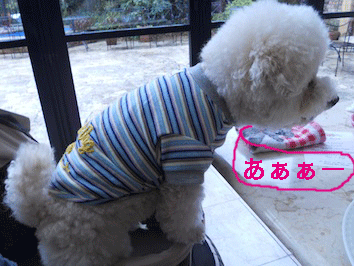 DSCN3993.gif