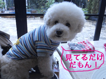 DSCN3994.gif