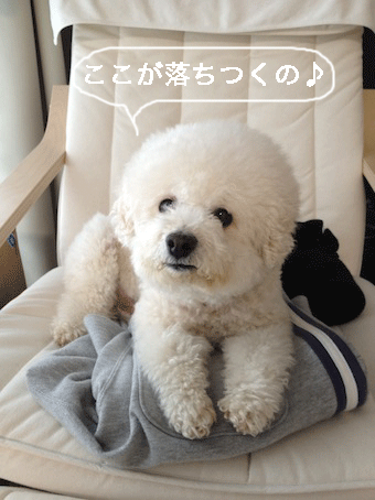 IMG_0028.gif