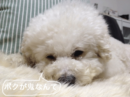 IMG_0044.gif