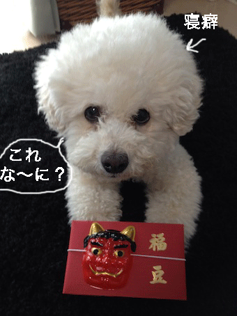 IMG_0053.gif