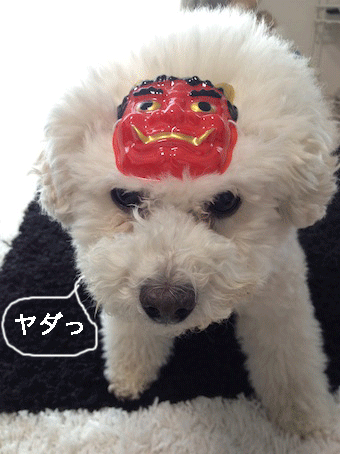IMG_0054.gif