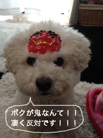 IMG_0056.gif