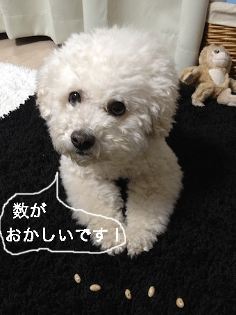 IMG_0067.gif