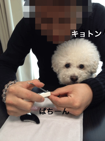 IMG_0079.gif