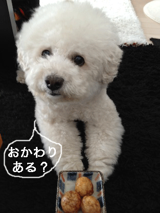 IMG_0101.gif