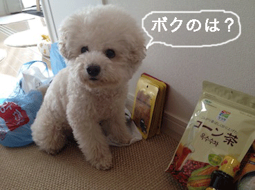 IMG_0137.gif
