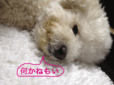 IMG_0142.gif