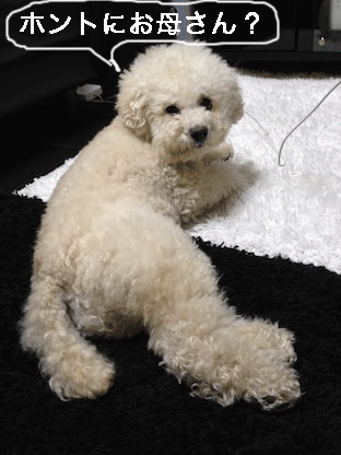 IMG_0144.gif