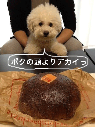IMG_0157.gif