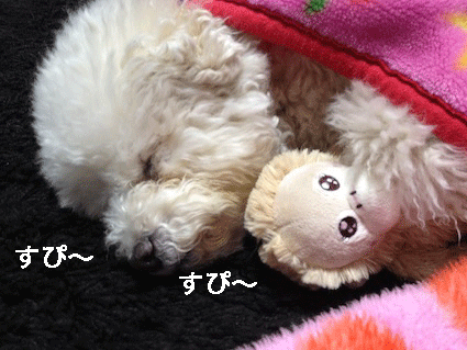 IMG_0175.gif