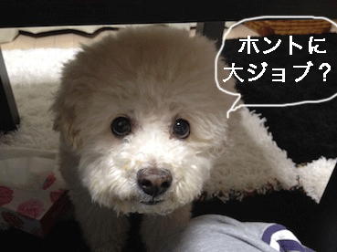 IMG_0245.gif