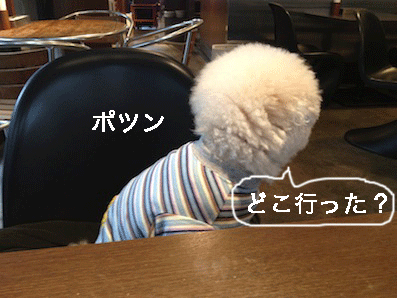 IMG_0259.gif