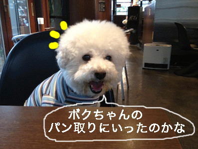 IMG_0263.gif