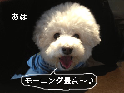 IMG_0268.gif