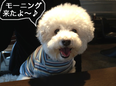 IMG_0271.gif