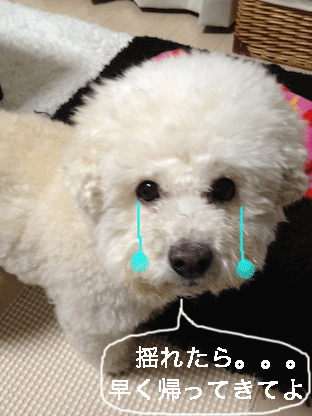 IMG_0285.gif