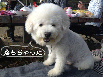 IMG_1969.gif