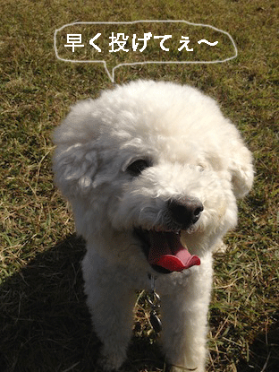 IMG_2026.gif