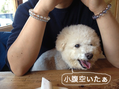 IMG_2034.gif