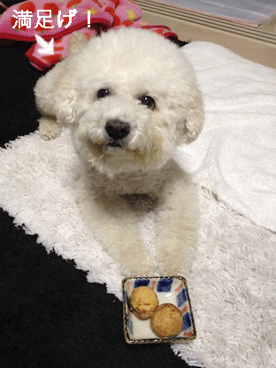 IMG_2051.gif