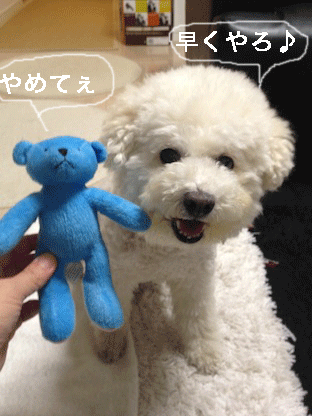 IMG_2063.gif