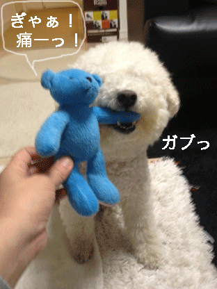 IMG_2065.gif