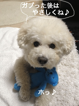 IMG_2069.gif