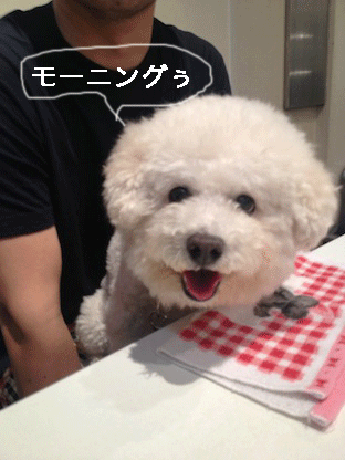 IMG_2070.gif