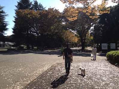 IMG_2086.gif