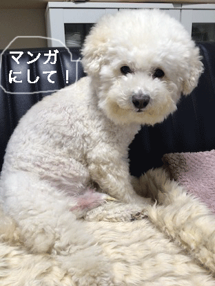 IMG_2140.gif
