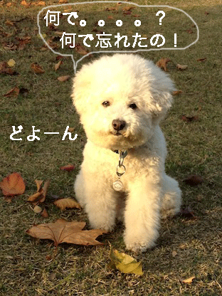 IMG_2167.gif