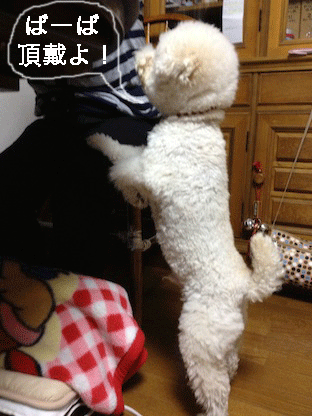 IMG_2177.gif