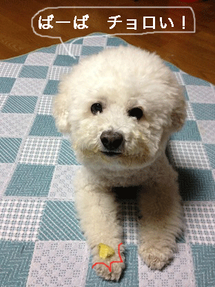 IMG_2180.gif