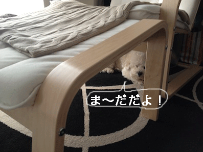 IMG_2192.gif