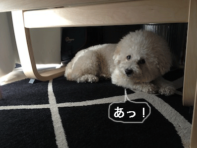 IMG_2193.gif