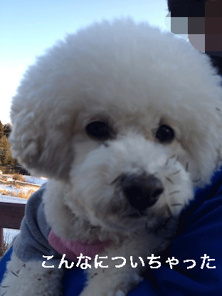 IMG_2595.gif