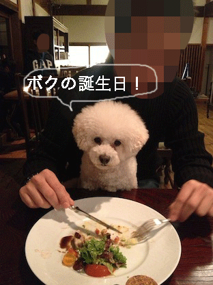IMG_2598.gif